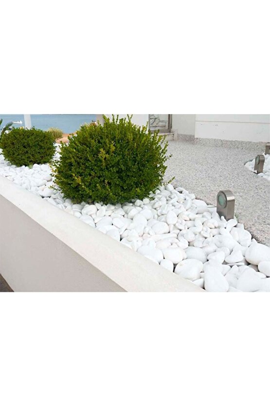 Beyaz Dolomit Taş 5 Kg 2-4 Cm Dekoratif Bahçe Taşı Akvaryum Taşı Dolamit Taş