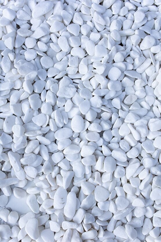 Beyaz Dolomit Taş 5 Kg 2-4 Cm Dekoratif Bahçe Taşı Akvaryum Taşı Dolamit Taş