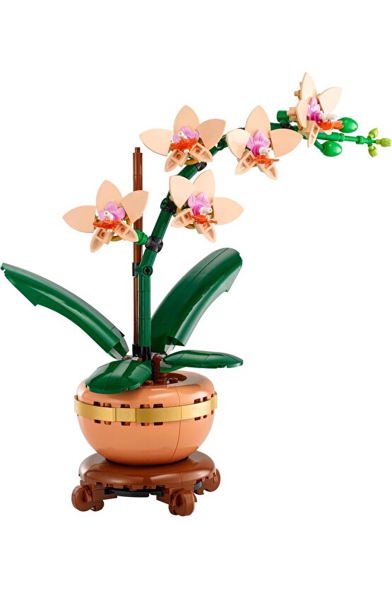 ® Botanicals Mini Orkide 10343 - 18+ Çiçek Model Yapım Seti (274 Parça)