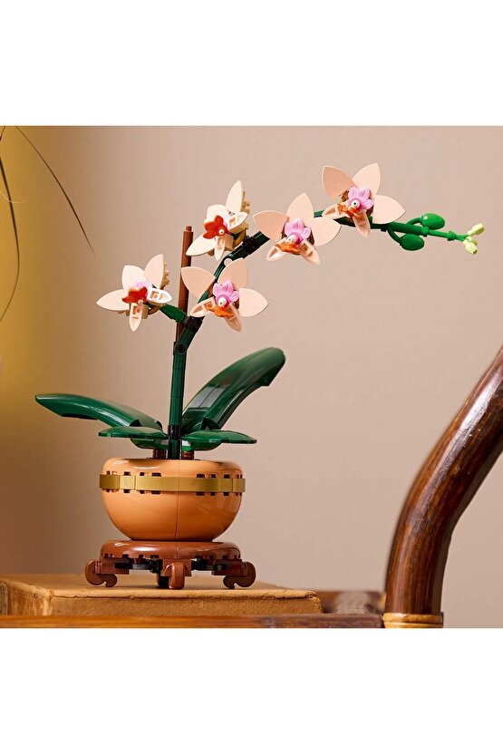 ® Botanicals Mini Orkide 10343 - 18+ Çiçek Model Yapım Seti (274 Parça)