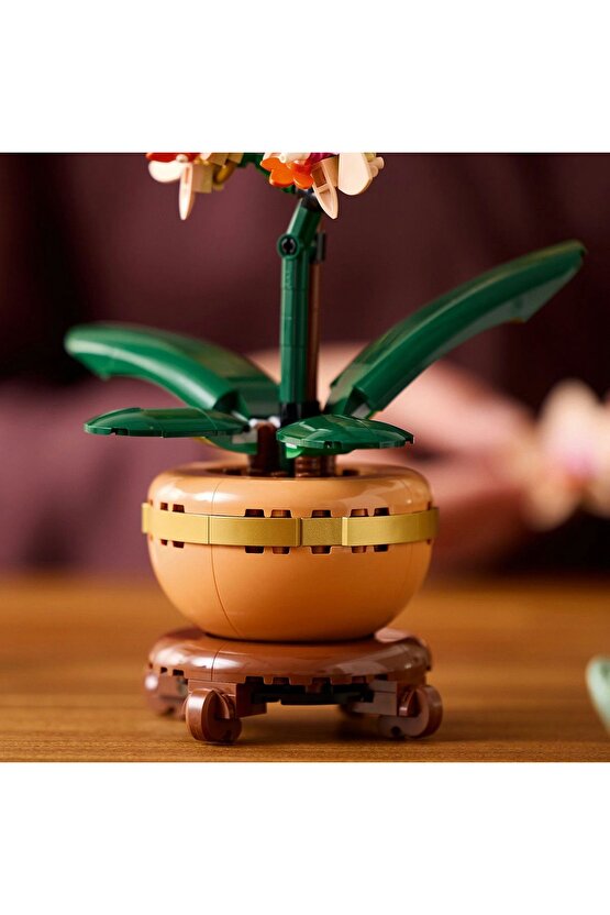 ® Botanicals Mini Orkide 10343 - 18+ Çiçek Model Yapım Seti (274 Parça)