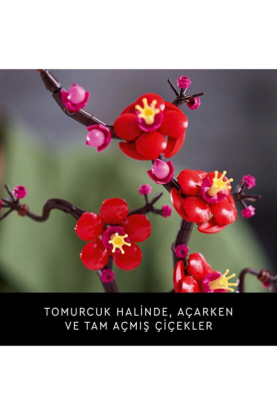 ® Botanicals Erik Çiçeği 10369 - 18+ Yaratıcı Model Yapım Seti (327 Parça)