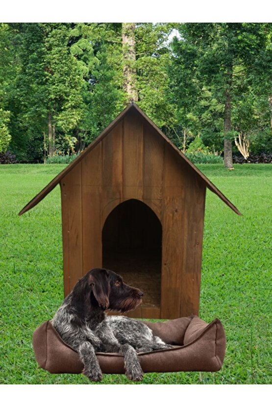 Orta Boy Irk Köpekler Için Doğal Ahşap Kulübe Dış Mekan Köpek Evi