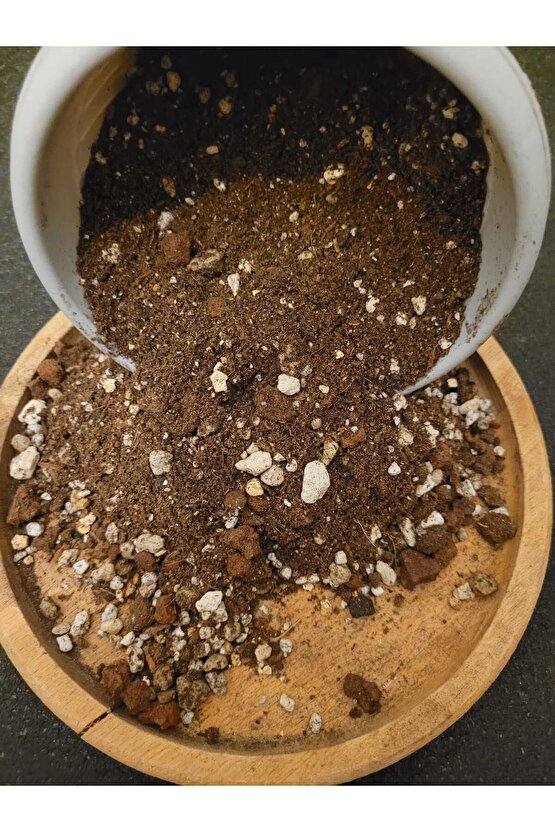 Kaktüs Sukulent Toprağı 1 Litre- Yüksek Kalite, Ithal Torf Karışımlı