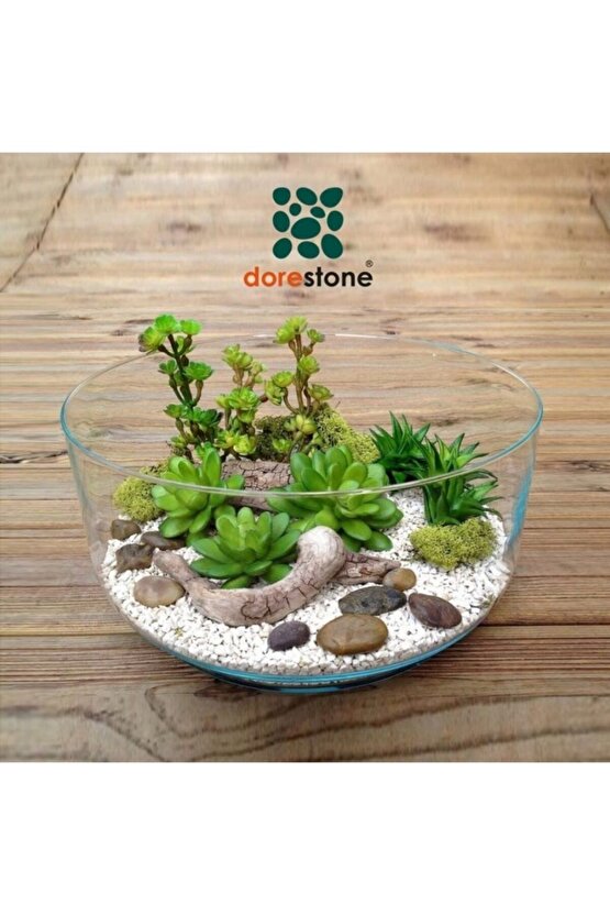 Tamburlanmış Beyaz Dolomit Taşı-5 Kg 4-8 Mm Beyaz Doğal Taş
