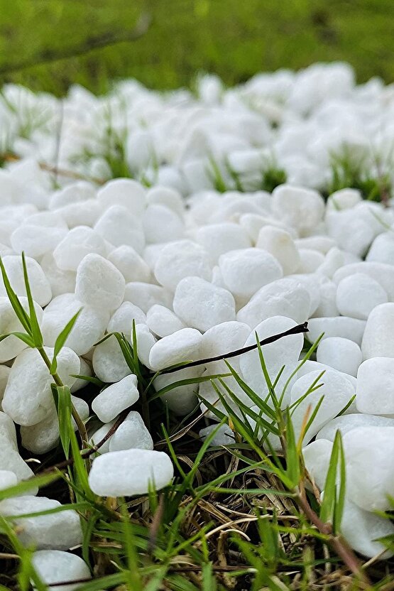Beyaz Dolomit Taş 1 Kg 1,5-2,5 Cm Dere Çakıl Taşı Bahçe Süs Taşı Saksı Teraryum Taşı