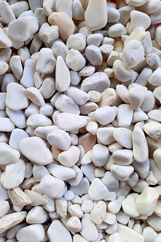 Beyaz Dolomit Taş 1 Kg 1,5-2,5 Cm Dere Çakıl Taşı Bahçe Süs Taşı Saksı Teraryum Taşı