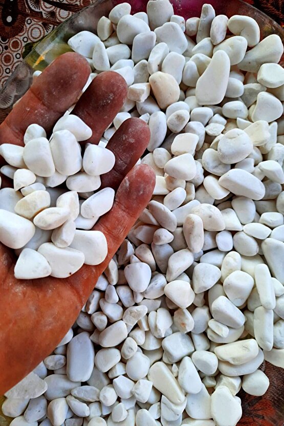 Beyaz Dolomit Taş 1 Kg 1,5-2,5 Cm Dere Çakıl Taşı Bahçe Süs Taşı Saksı Teraryum Taşı