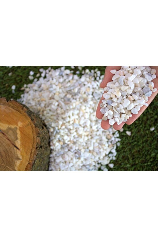 Dolomit Taş 5 Kg 0,5-1 Cm Karışık Renkli Dere Taşı Çakıl Taşı Saksı Taşı Akvaryum Teraryum Taşı