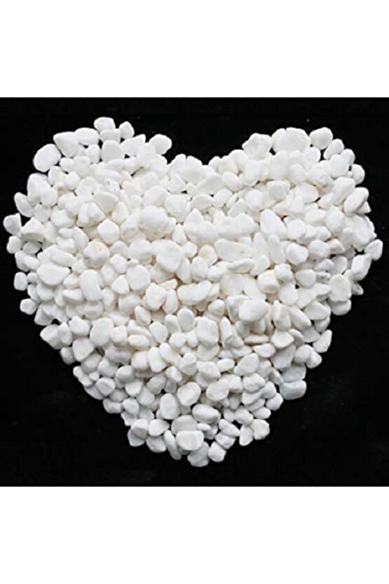 Beyaz Dolomit Taş 500 gr 1-2 Cm Dere Çakıl Taşı Saksı Taşı Akvaryum Teraryum Taşı Bahçe Taşı No.2m