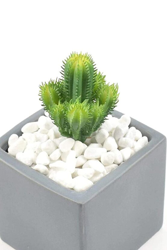 Beyaz Dolomit Taş 2 Kg 1,5-2,5 Cm Dere Çakıl Taşı Bahçe Süs Taşı Saksı Teraryum Taşı