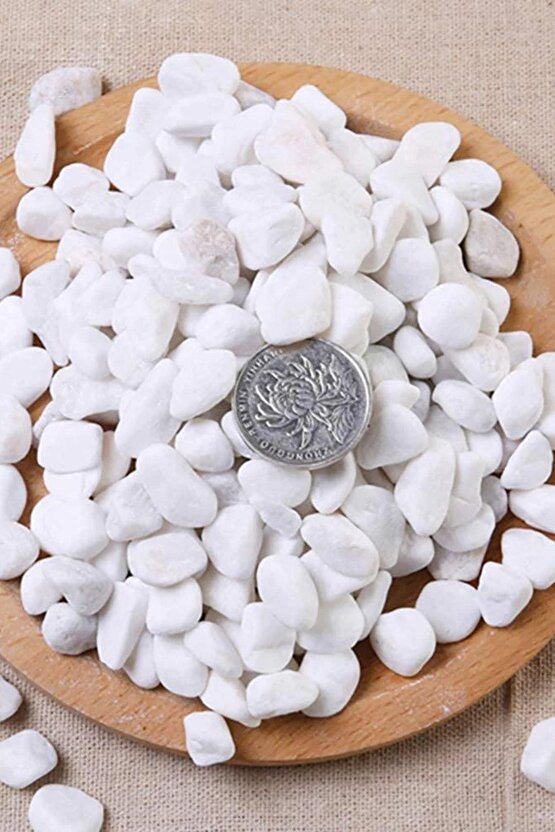 Beyaz Dolomit Taş 2 Kg 1,5-2,5 Cm Dere Çakıl Taşı Bahçe Süs Taşı Saksı Teraryum Taşı
