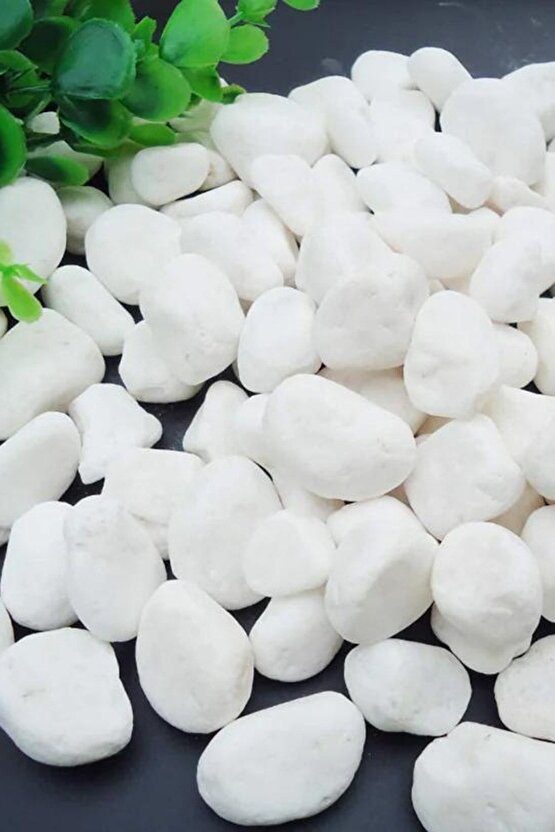 Beyaz Dolomit Taş 2 Kg 1,5-2,5 Cm Dere Çakıl Taşı Bahçe Süs Taşı Saksı Teraryum Taşı