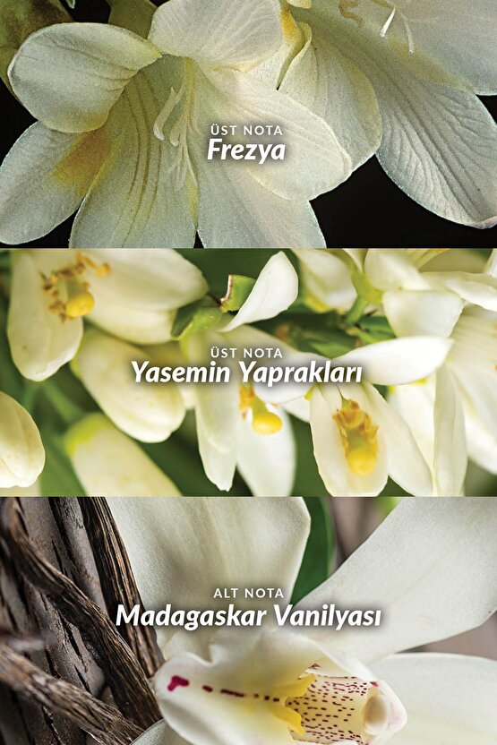 Far Away 50 ml Kadın Roll On Deodorant