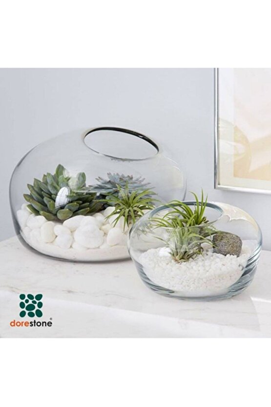 Tamburlanmış Beyaz Dolomit Taşı-5 Kg 10-20 Mm Beyaz Doğal Taş