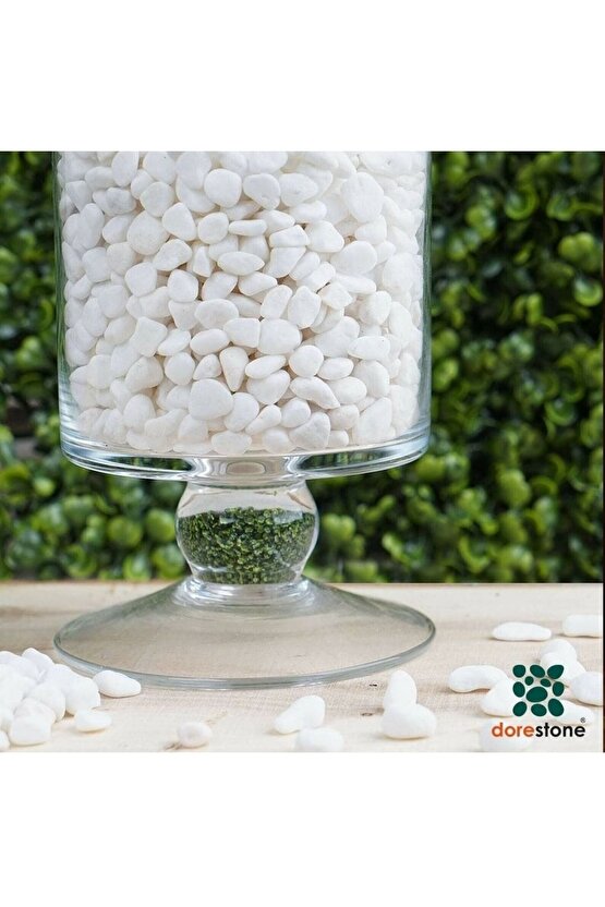 Tamburlanmış Beyaz Dolomit Taşı - 25 Kg 10-20 Mm Beyaz Doğal Taş