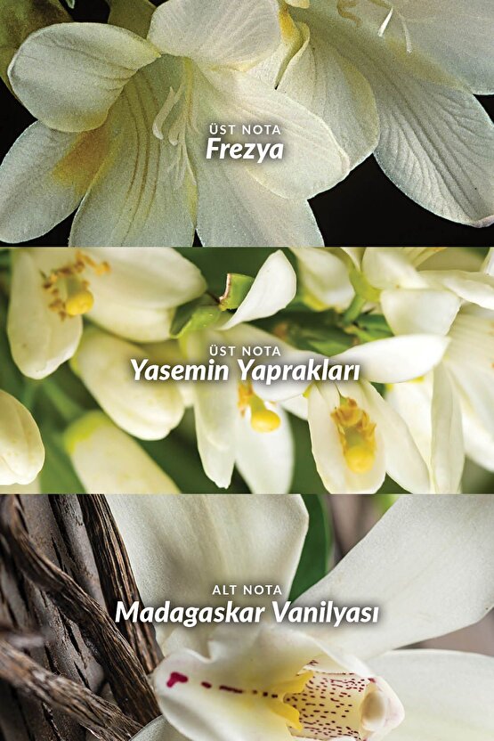 Far Away Kadın Parfüm 50 Ml.