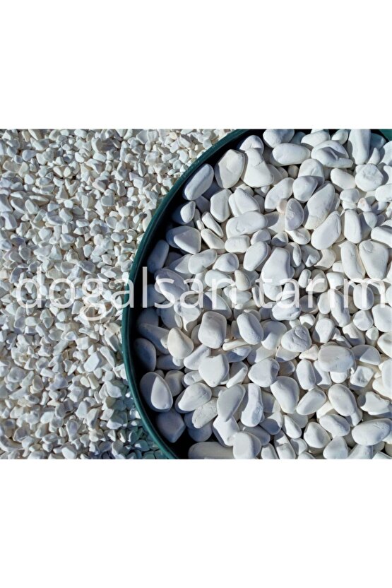 Beyaz Dolomit Taş 3 Kg 2-4 Cm Dere Taşı Çakıl Taşı Saksı Taşı Akvaryum Teraryum Taşı Bahçe Taşı