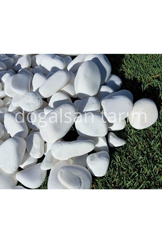 Beyaz Dolomit Taş 3 Kg 2-4 Cm Dere Taşı Çakıl Taşı Saksı Taşı Akvaryum Teraryum Taşı Bahçe Taşı