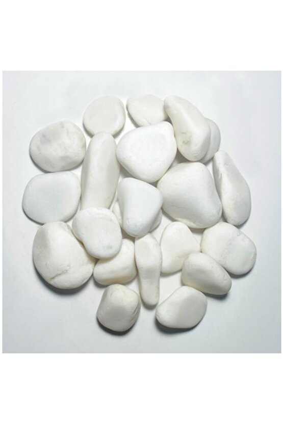 Tamburlanmış Dolomit Taşı Beyaz Renk 20 Kg 1-2 Cm