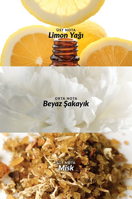 Scent Mix Pure Ocean Kadın Parfüm Edt 30 Ml.