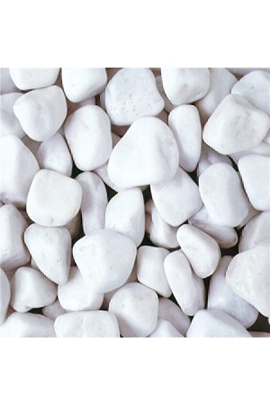 Beyaz Dolomit Taş 5 Kg 2-4 Cm Dere Çakıl Taşı Bahçe Süs Taşı Saksı Teraryum Taşı Akvaryum Taşı