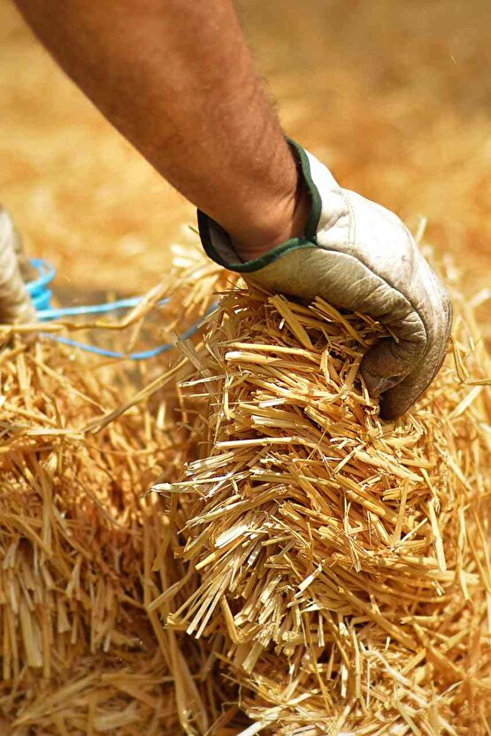 1 Kg Arpa - Buğray Samanı - Kemirgen Otu - Kuş Otu - Folluk Otu - Sürüngen Otu - Yavrulama Altlığı