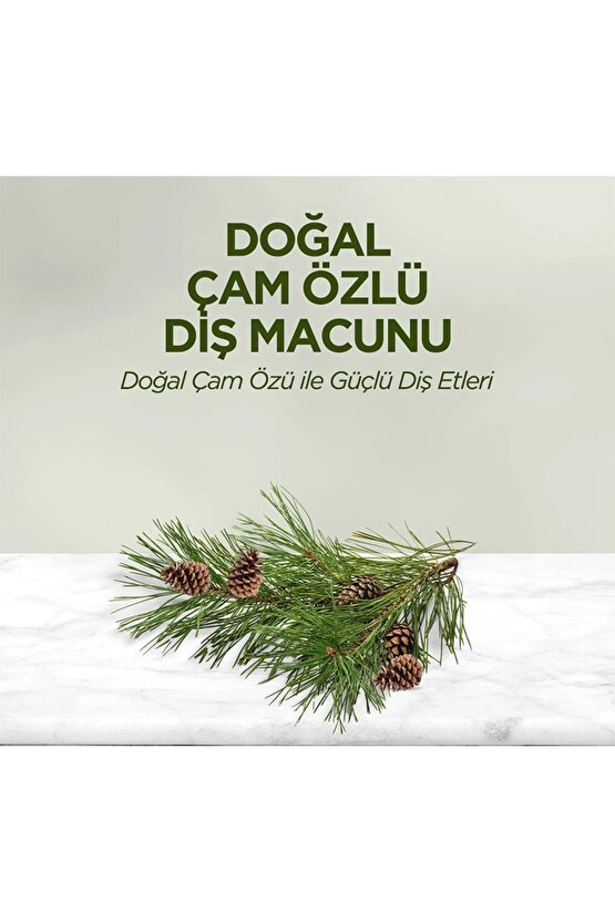 Eyüp Sabri TuncerDoğal Çam Özlü Diş Macunu 90 ml