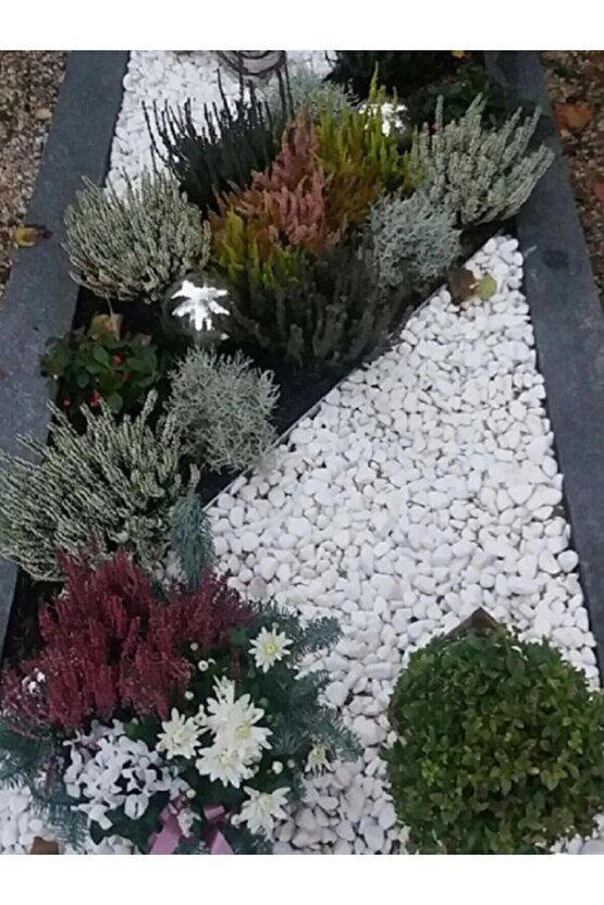 10 Kg 4-6 Cm Beyaz Dolomit Taş Dere Çakıl Taşı Bahçe Peyzaj Süs Taşı Saksı Teraryum Akvaryum Taş