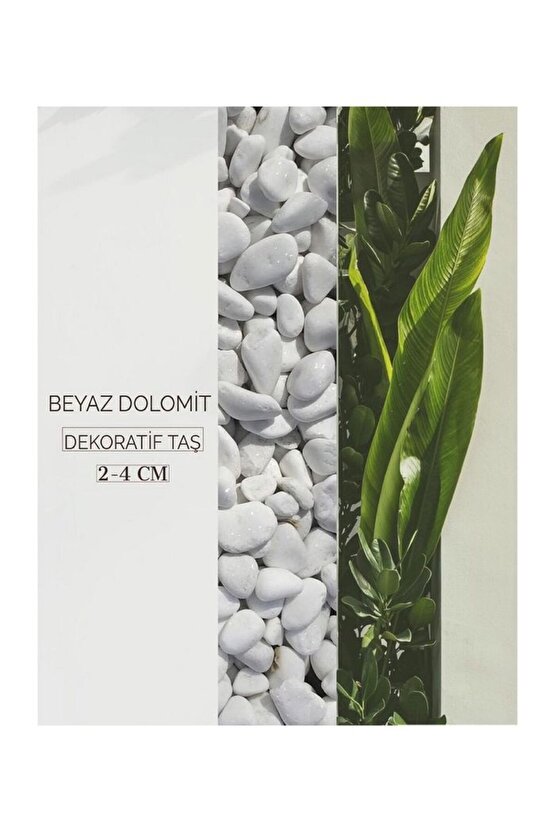 10 Kg 4-6 Cm Beyaz Dolomit Taş Dere Çakıl Taşı Bahçe Peyzaj Süs Taşı Saksı Teraryum Akvaryum Taş