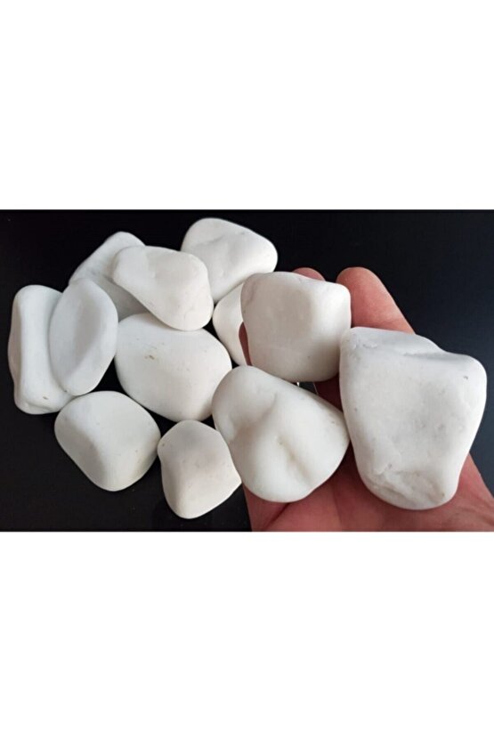 Beyaz Taş 10 Kg 4-6 Cm Beyaz Dolomit Taş Dere Taşı Çakıl Taşı Bahçe Süs Taşı Akvaryum Teraryum Taşı
