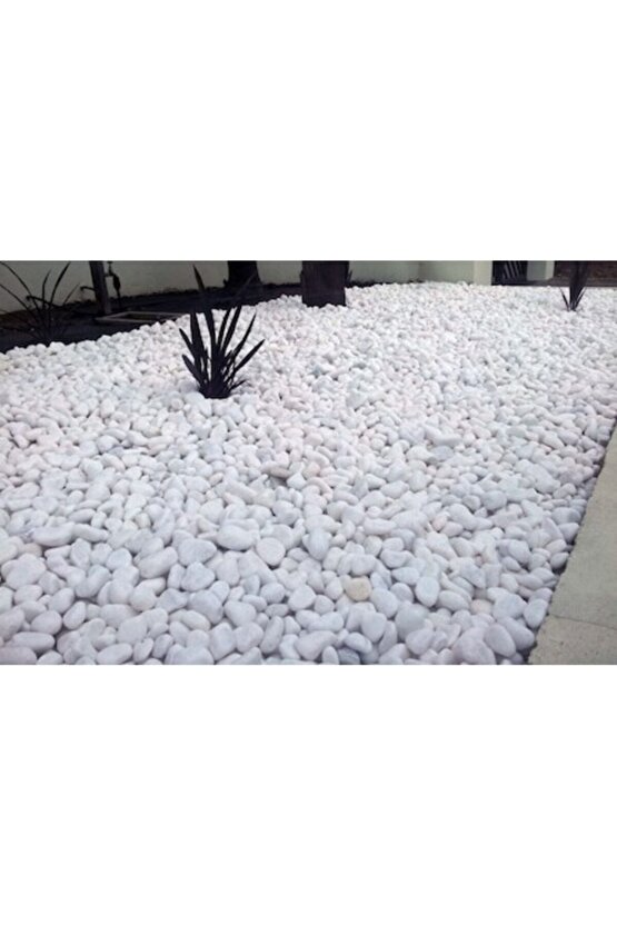 Tamburlanmış Dolomit Taşı Beyaz Renk 20 Kg 1-2 Cm