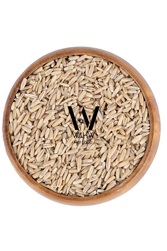 Soyulmuş Kabuksuz İç Yulaf - Organik Kuş Yemi - 5 KG