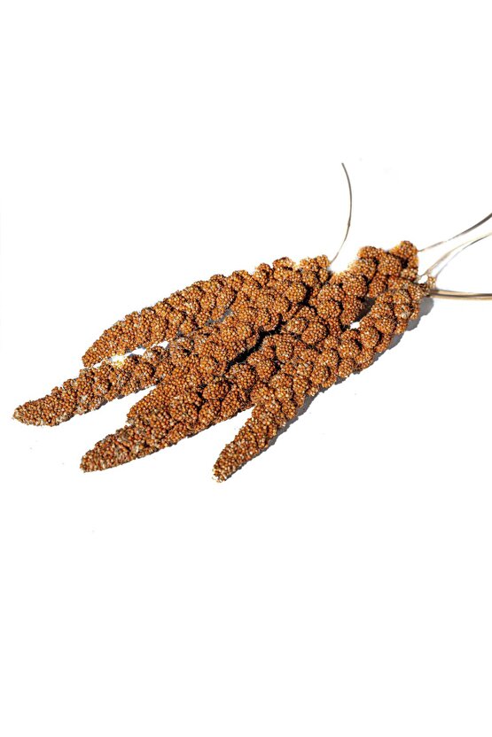Kızıl Dal Darı - 200 GR