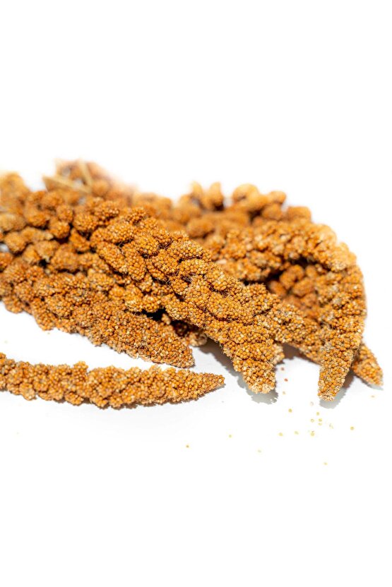 Kızıl Dal Darı - 200 GR