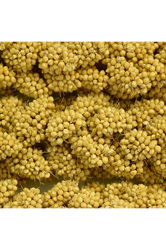 Kızıl Dal Darı - 200 GR