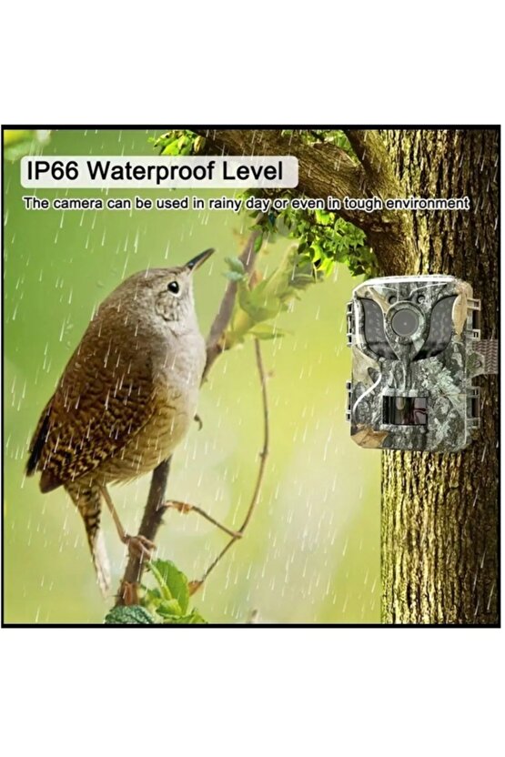 Fotokapan Kamera 16mp Full Hd 1080p Gece Görüşlü 2 Inç Lcd Ekran Su Geçirmez Trail Camera