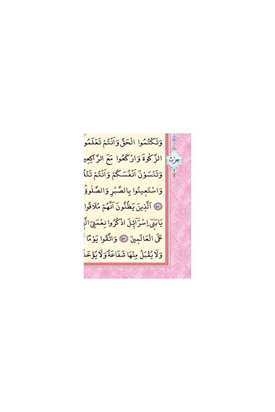 Kuranı Kerim - Sade Arapça - Rahle Boy - Sesli - Pembe Renk - Ayfa Kuran - Bilgisayar Hatlı