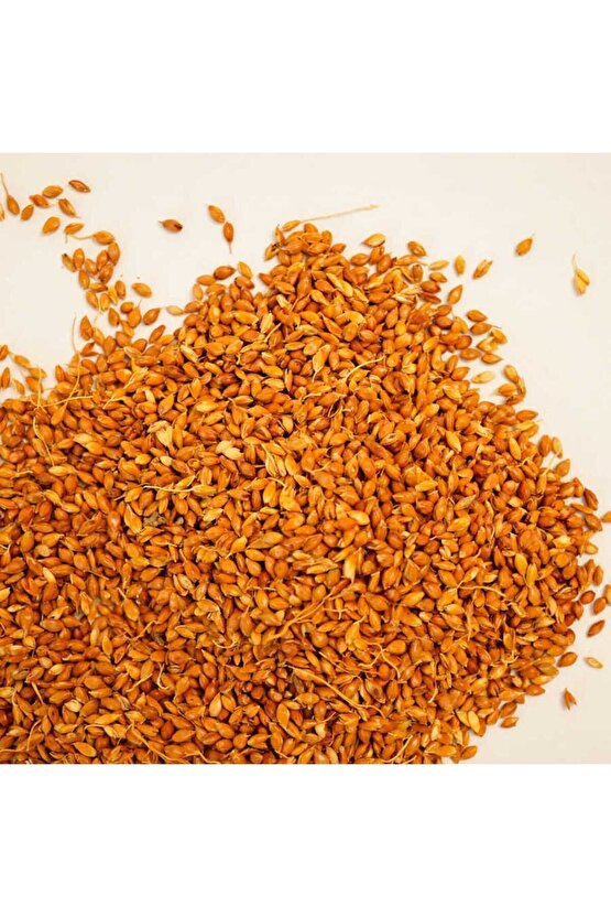 Süpürge Otu Tohumu 100 Gr
