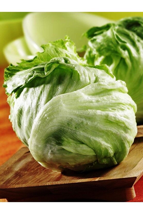 Yerli Doğal Göbek Marul (ICEBERG) Tohumu 100 Ad. Tohum