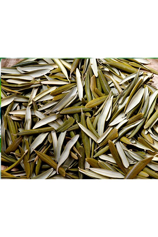 Kurutulmuş Egeden Zeytin Yaprağı Çayı 100 gr ( Doğal Kurutulmuş)