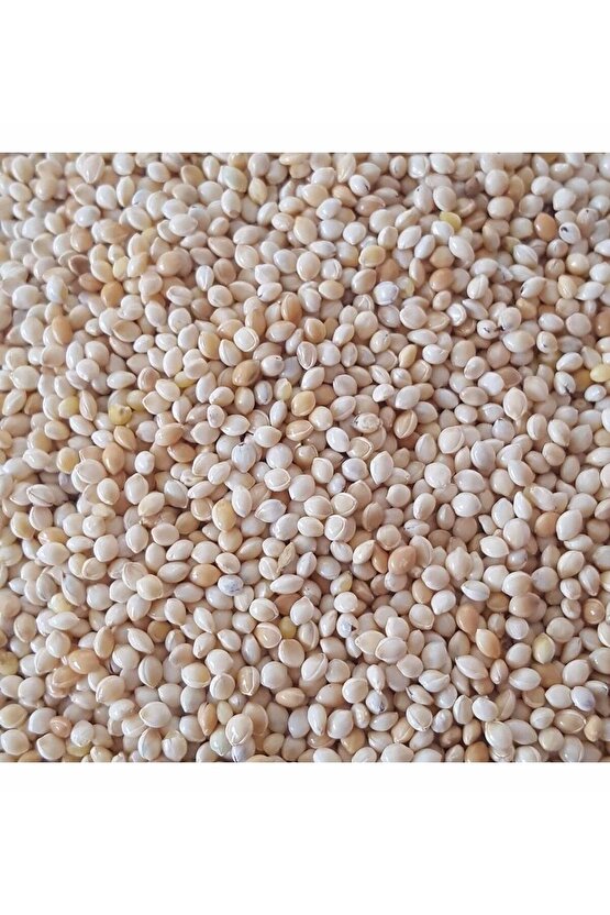 200 gr - Kuş Yemi Ak Darı Beyaz Darı - (AKDARI)