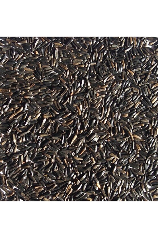 250 gr - Nijer Tohumu - Kuş Yemi