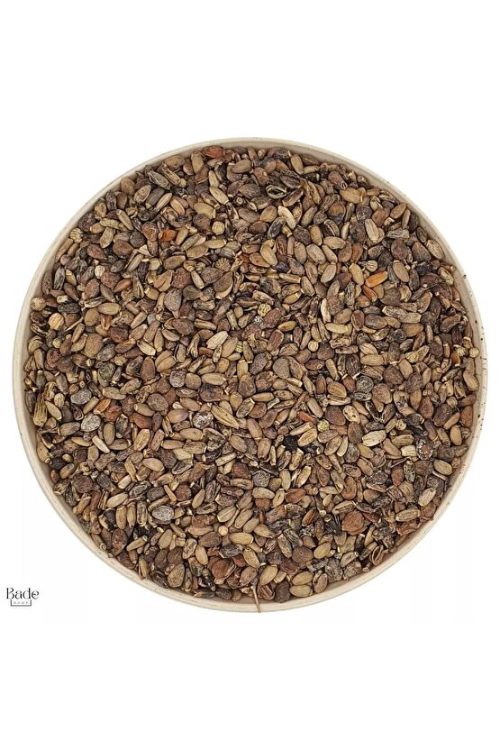50 gr - Deve Dikeni Tohumu - Milk Thistle Seeds