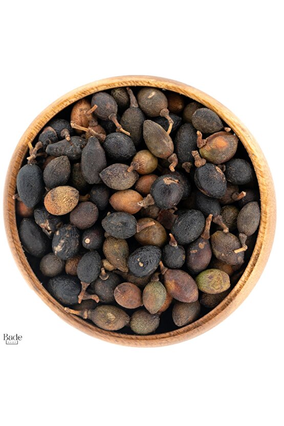 100gr -Defne Tohumu ( Doğal Kurutulmuş, yenilenebilir)