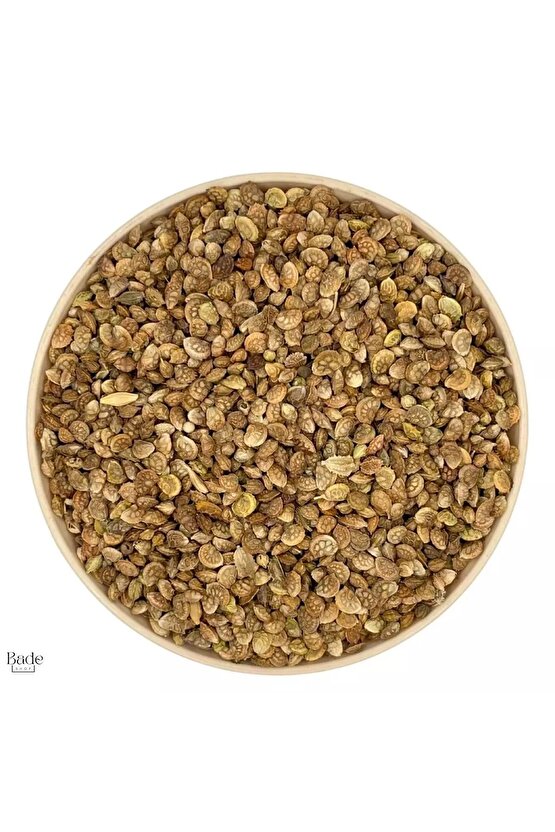 200 gr - Otu Korunga Tohumu