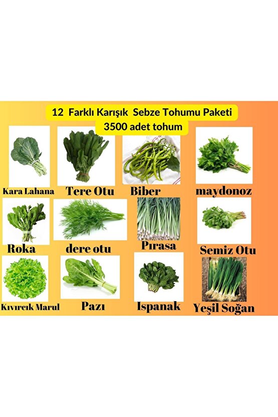 12 Çeşit Sebze Tohum Paketi - Maydanoz, Tere, Roka, Dereotu ,soğan,ıspanak ,marul,biber,Pırasa,pazı