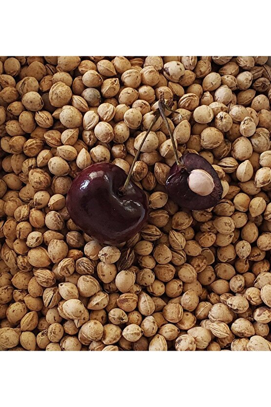 Yıkanmış Kiraz Çekirdeği - 50 gr