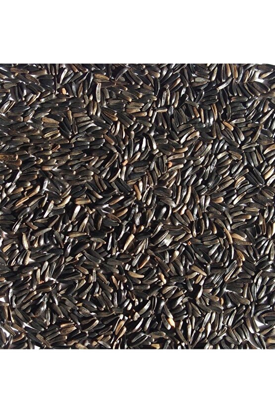 150 gr - Nijer Tohumu - Kuş Yemi