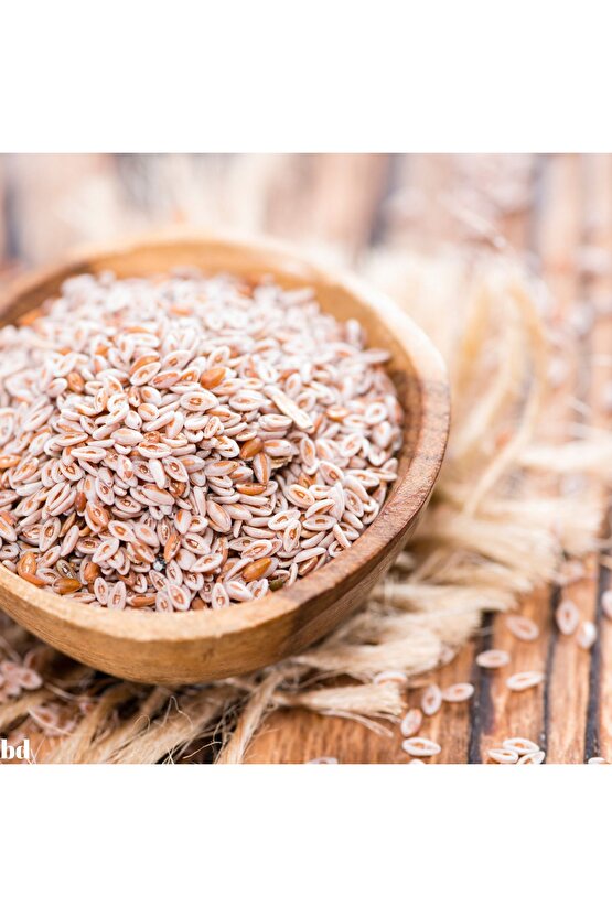 Karnıyarık Otu Tohumu - 50 gr - Psyllium